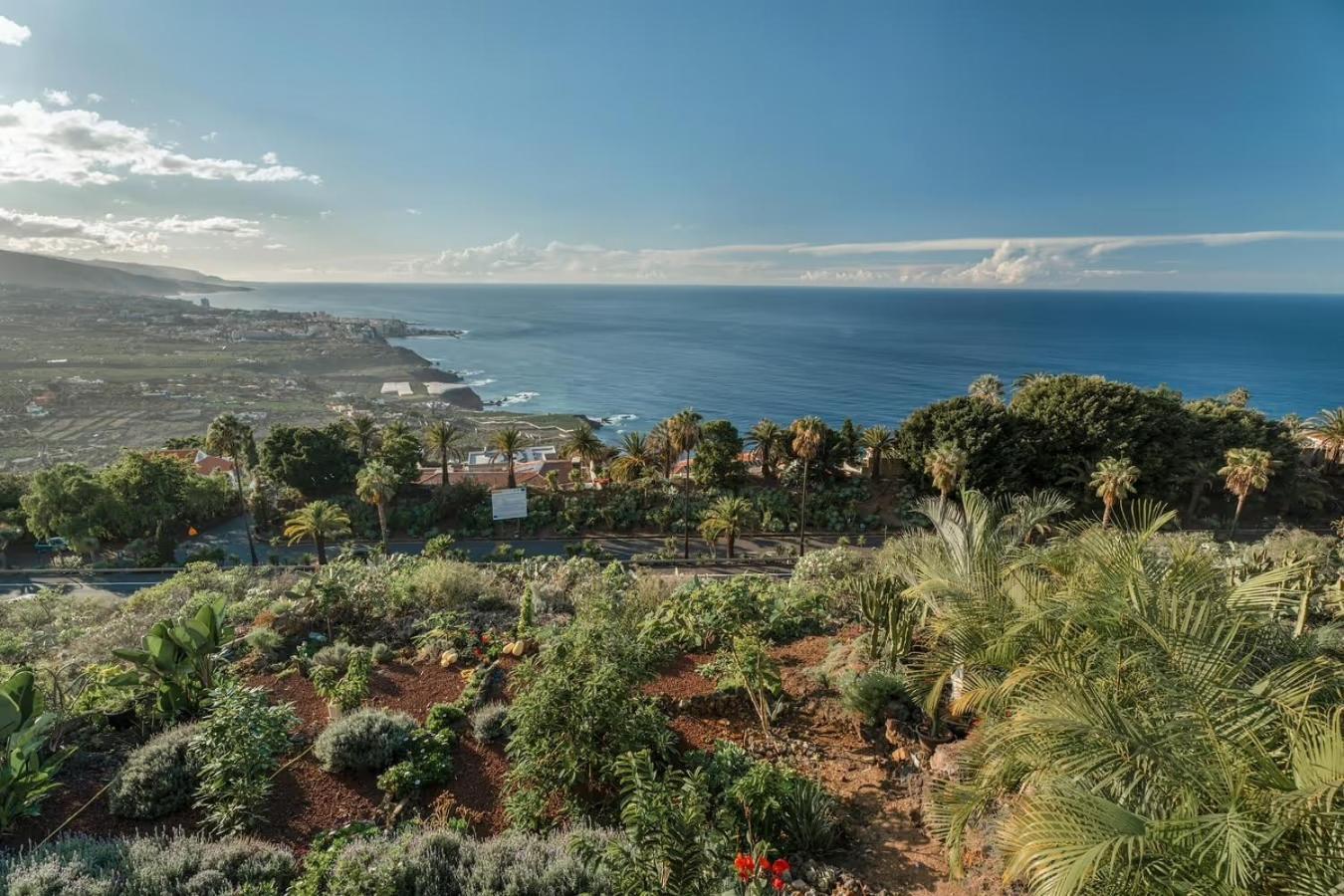 Villa Golden Horizon Con Piscina Privada Climatizada Santa Úrsula Buitenkant foto